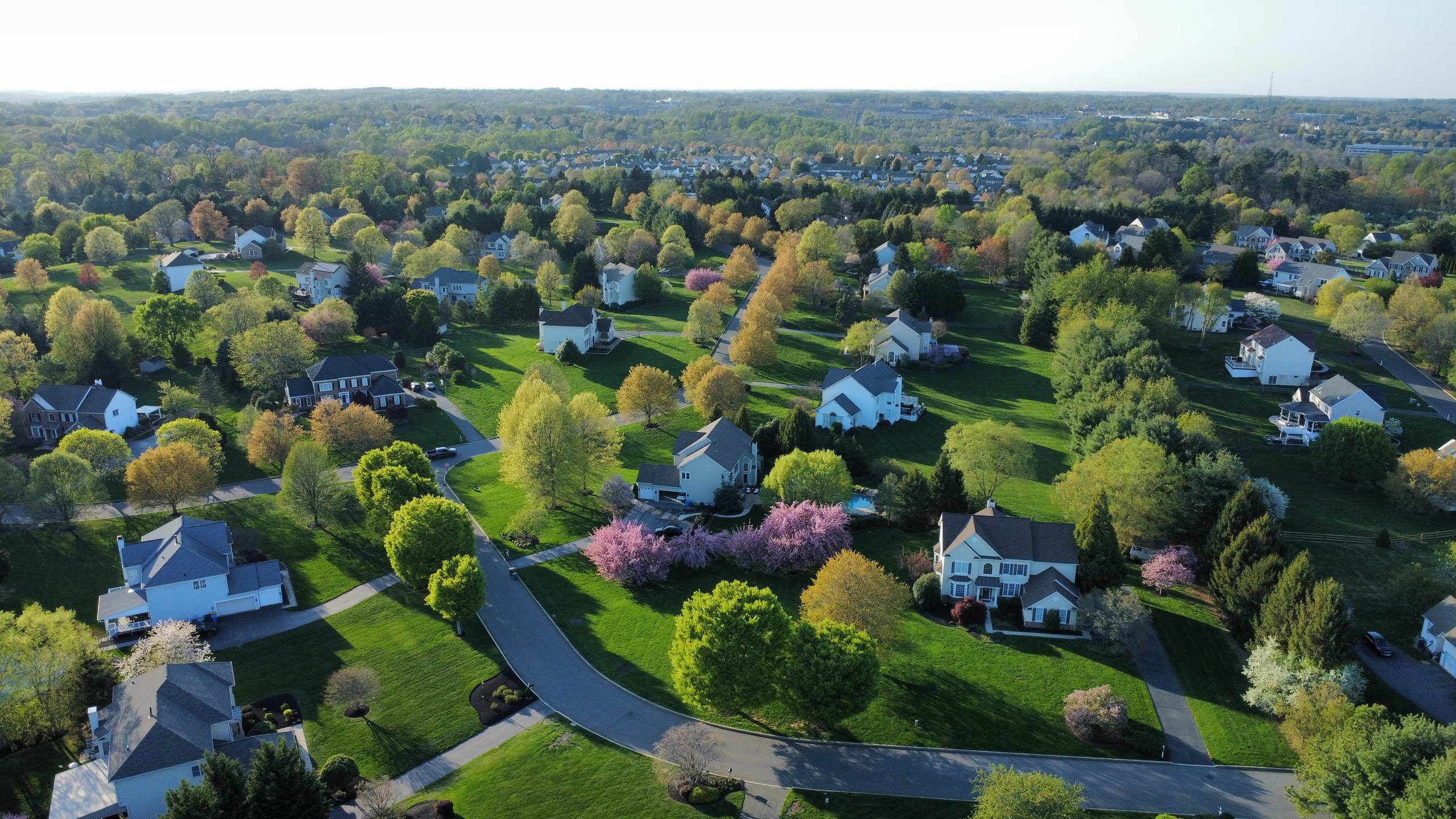 Fernbank residential neighborhood suburban homes